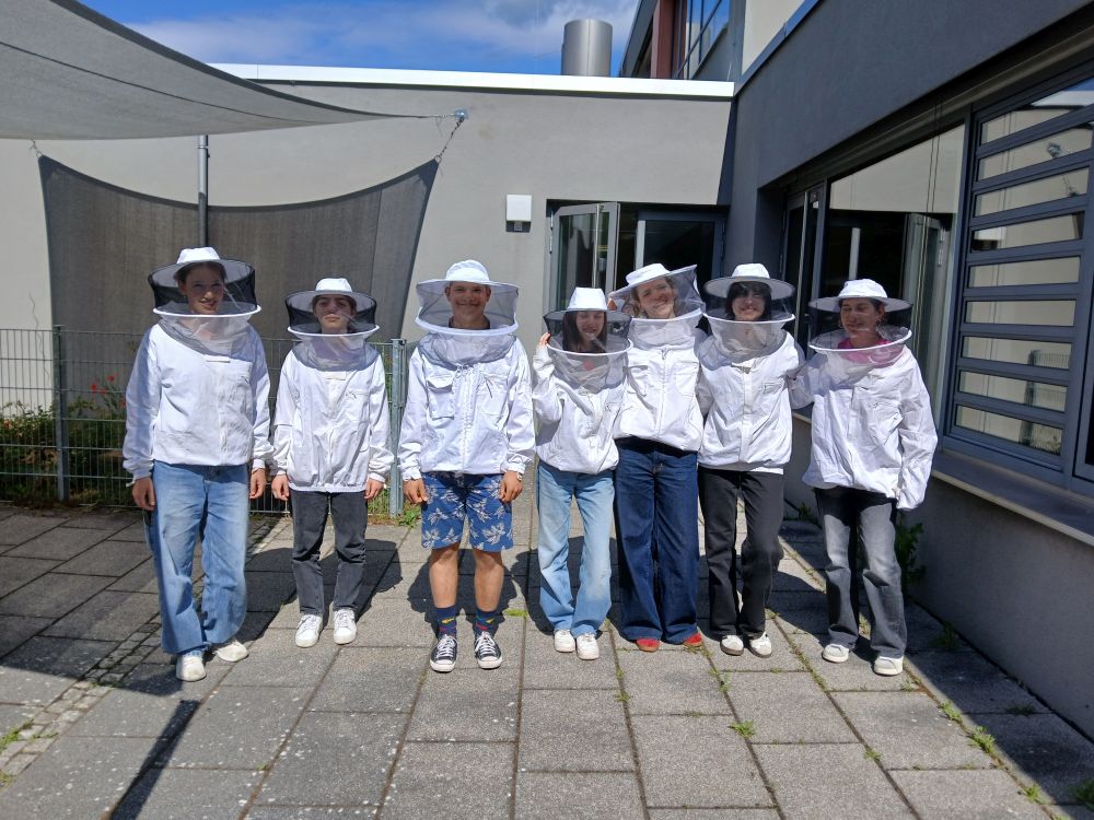 Bee Connected – Jazykový výměnný pobyt Elsenfeld